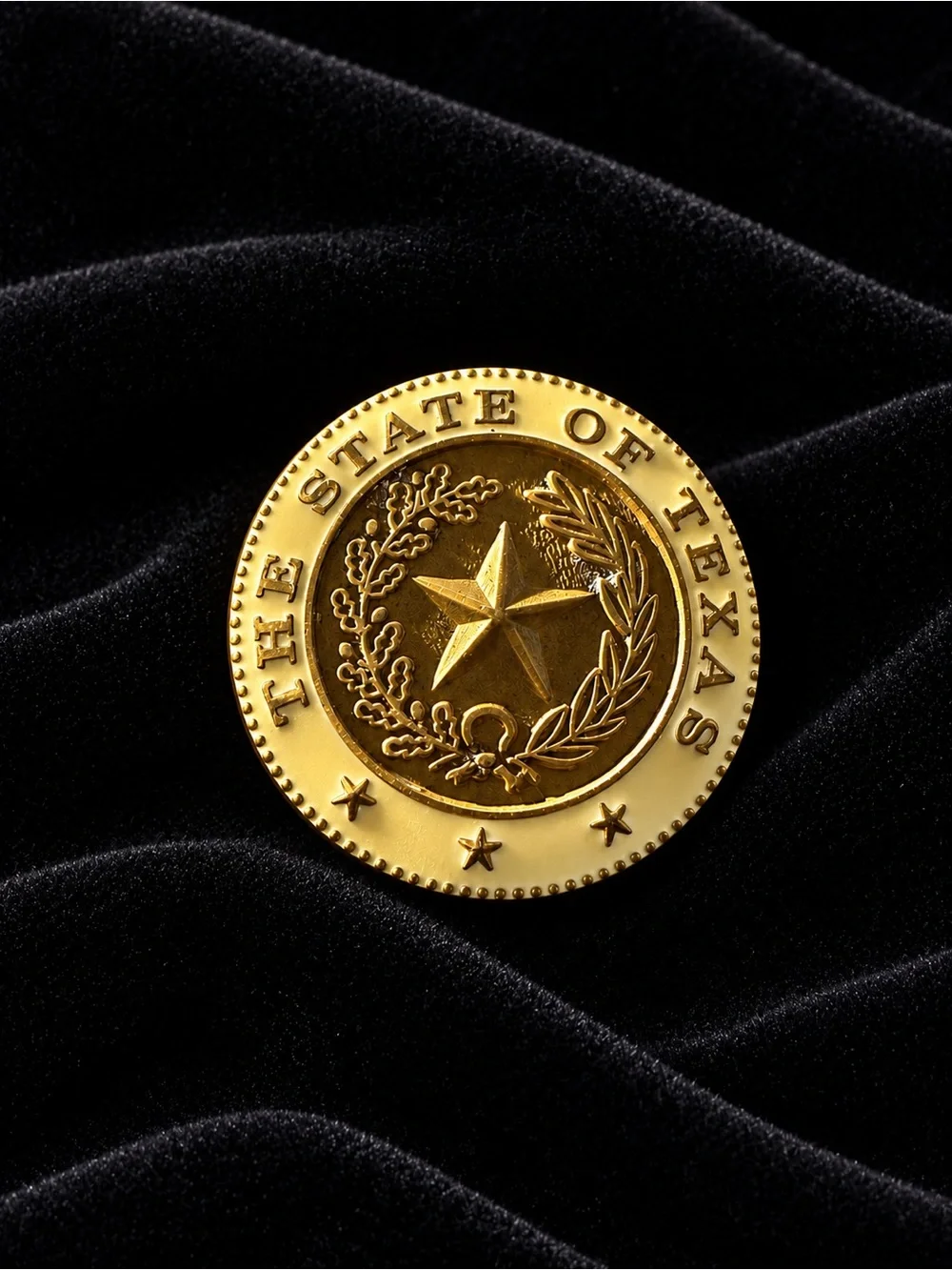 The State Seal of the State of Texas Pin